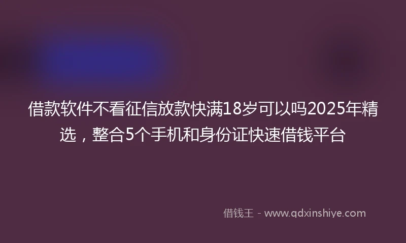 借款软件不看征信放款快满18岁可以吗2025年精选，整合5个手机和身份证快速借钱平台