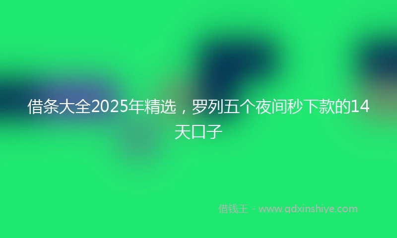 借条大全2025年精选，罗列五个夜间秒下款的14天口子