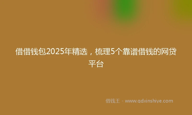 借借钱包2025年精选，梳理5个靠谱借钱的网贷平台