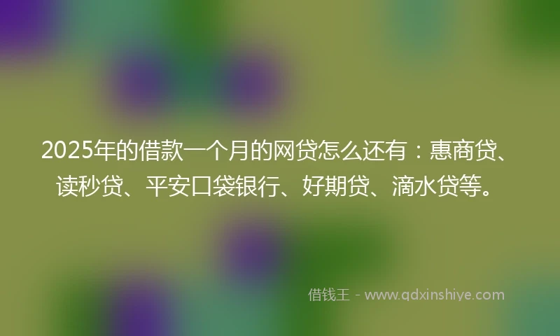2025年的借款一个月的网贷怎么还有：惠商贷、读秒贷、平安口袋银行、好期贷、滴水贷等。