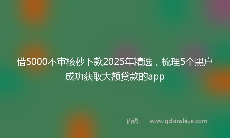 借5000不审核秒下款2025年精选，梳理5个黑户成功获取大额贷款的app