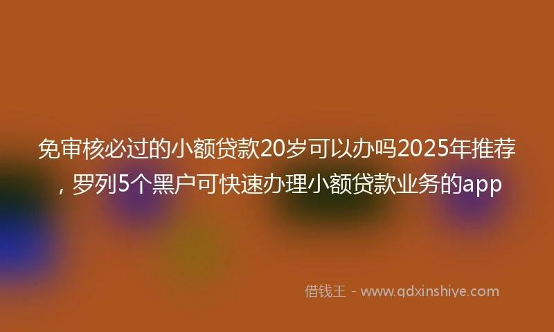 免审核必过的小额贷款20岁可以办吗2025年推荐，罗列5个黑户可快速办理小额贷款业务的app