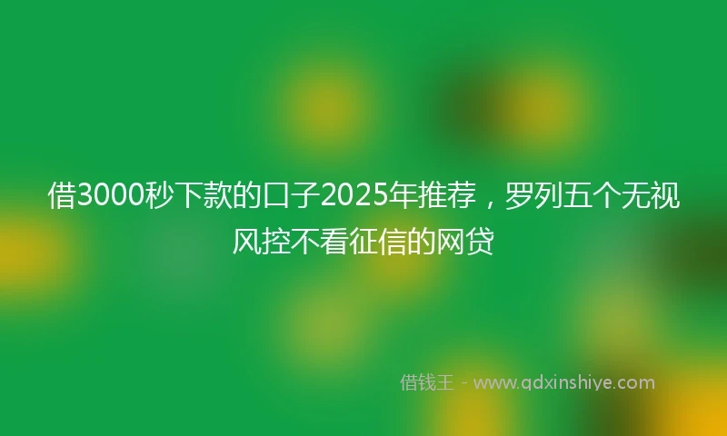 借3000秒下款的口子2025年推荐，罗列五个无视风控不看征信的网贷