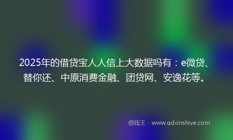 2025年的借贷宝人人信上大数据吗有：e微贷、替你还、中原消费金融、团贷网、安逸花等。