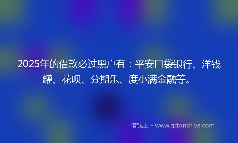 2025年的借款必过黑户有：平安口袋银行、洋钱罐、花呗、分期乐、度小满金融等。