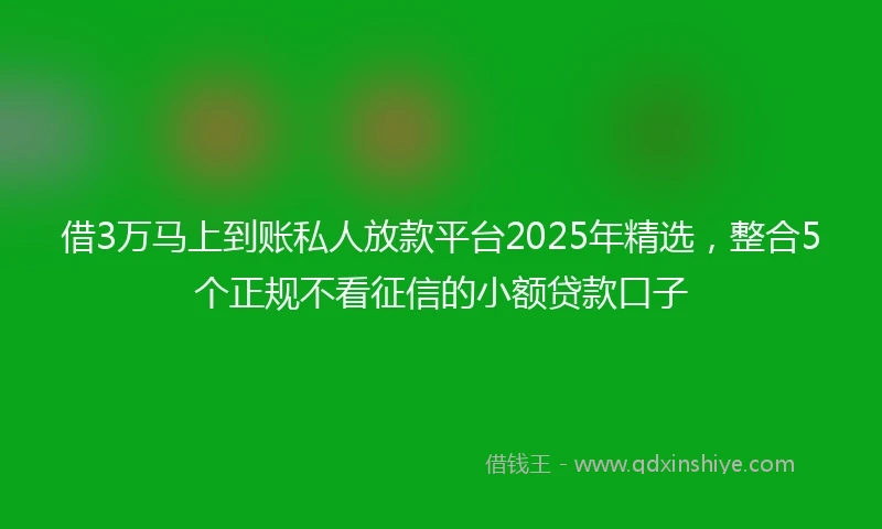借3万马上到账私人放款平台2025年精选，整合5个正规不看征信的小额贷款口子