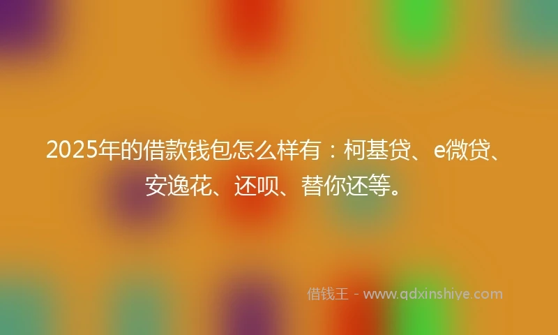 2025年的借款钱包怎么样有：柯基贷、e微贷、安逸花、还呗、替你还等。