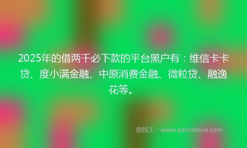 2025年的借两千必下款的平台黑户有：维信卡卡贷、度小满金融、中原消费金融、微粒贷、融逸花等。