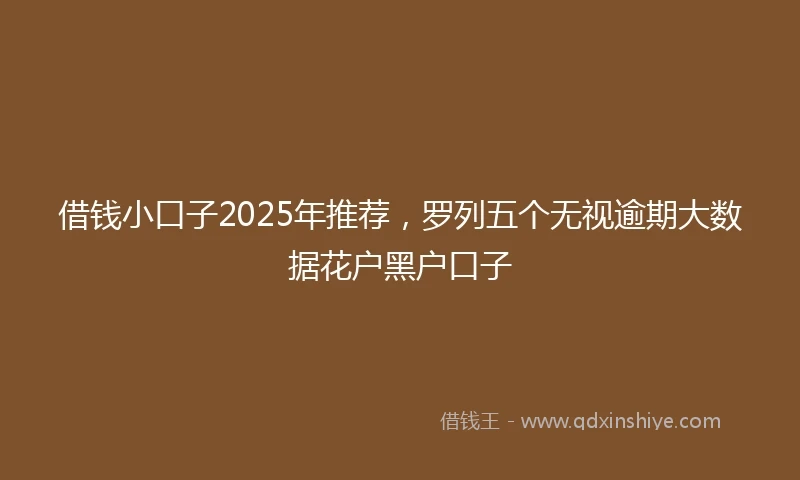 借钱小口子2025年推荐，罗列五个无视逾期大数据花户黑户口子