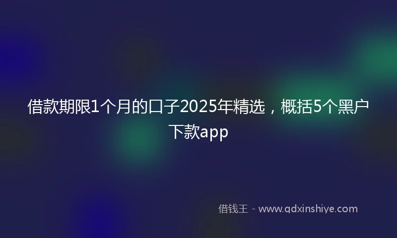 借款期限1个月的口子2025年精选，概括5个黑户下款app