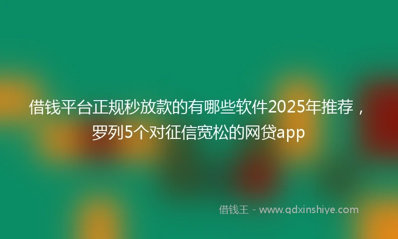 借钱平台正规秒放款的有哪些软件2025年推荐，罗列5个对征信宽松的网贷app