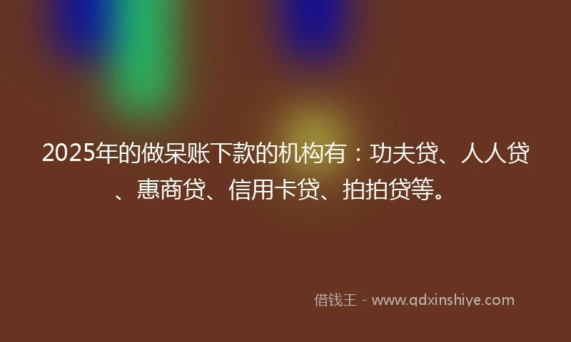 2025年的做呆账下款的机构有：功夫贷、人人贷、惠商贷、信用卡贷、拍拍贷等。