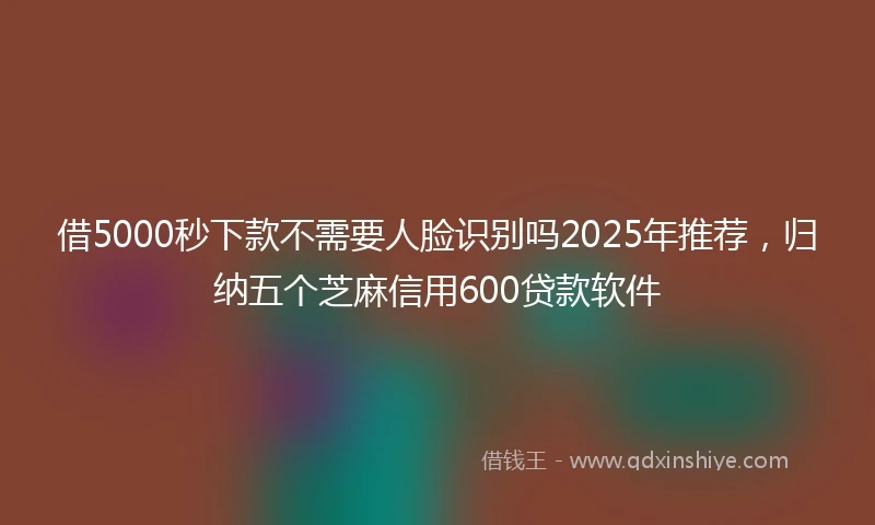 借5000秒下款不需要人脸识别吗2025年推荐，归纳五个芝麻信用600贷款软件