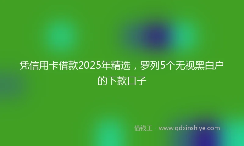 凭信用卡借款2025年精选，罗列5个无视黑白户的下款口子
