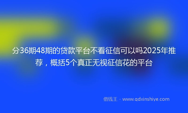 分36期48期的贷款平台不看征信可以吗2025年推荐，概括5个真正无视征信花的平台