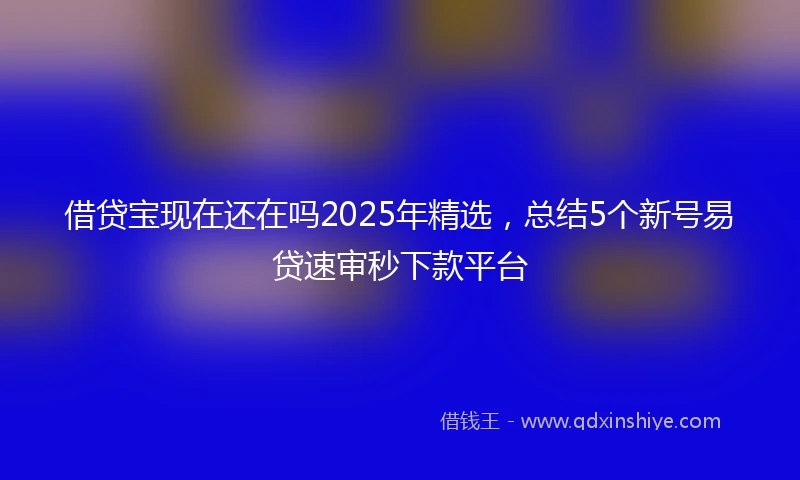 借贷宝现在还在吗2025年精选，总结5个新号易贷速审秒下款平台