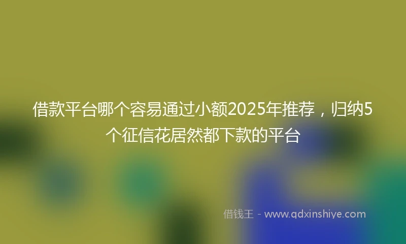 借款平台哪个容易通过小额2025年推荐，归纳5个征信花居然都下款的平台