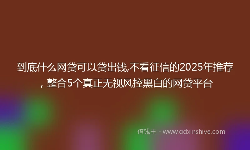 到底什么网贷可以贷出钱,不看征信的2025年推荐，整合5个真正无视风控黑白的网贷平台