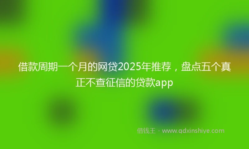 借款周期一个月的网贷2025年推荐,盘点五个真正不查征信的贷款app