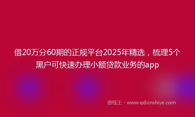 借20万分60期的正规平台2025年精选，梳理5个黑户可快速办理小额贷款业务的app