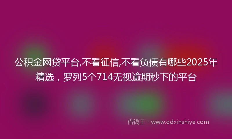 公积金网贷平台,不看征信,不看负债有哪些2025年精选，罗列5个714无视逾期秒下的平台