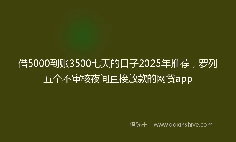 借5000到账3500七天的口子2025年推荐，罗列五个不审核夜间直接放款的网贷app