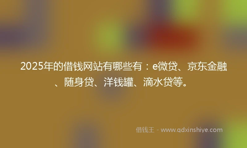 2025年的借钱网站有哪些有：e微贷、京东金融、随身贷、洋钱罐、滴水贷等。