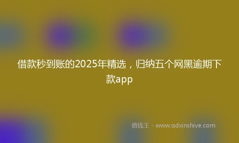 借款秒到账的2025年精选，归纳五个网黑逾期下款app