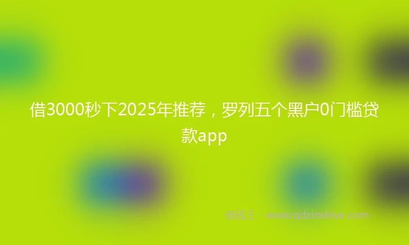 借3000秒下2025年推荐，罗列五个黑户0门槛贷款app