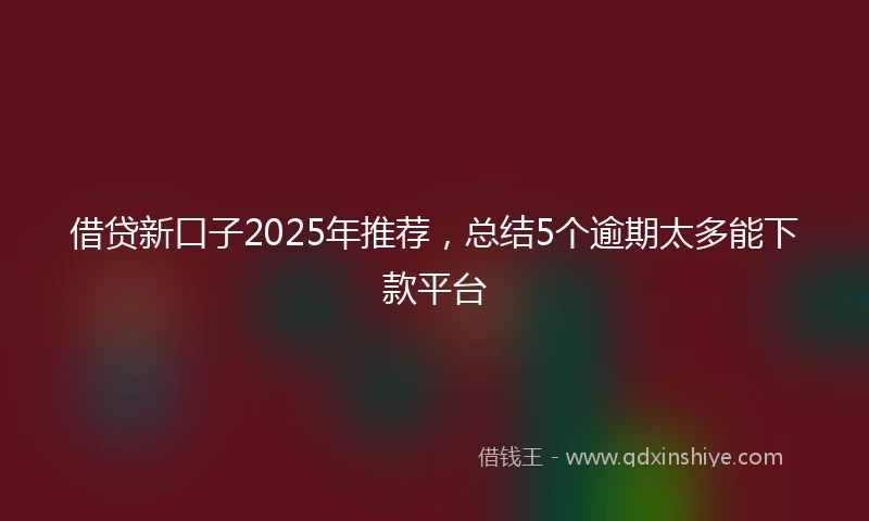 借贷新口子2025年推荐，总结5个逾期太多能下款平台