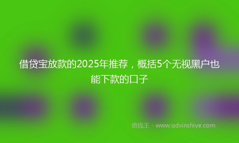 借贷宝放款的2025年推荐，概括5个无视黑户也能下款的口子