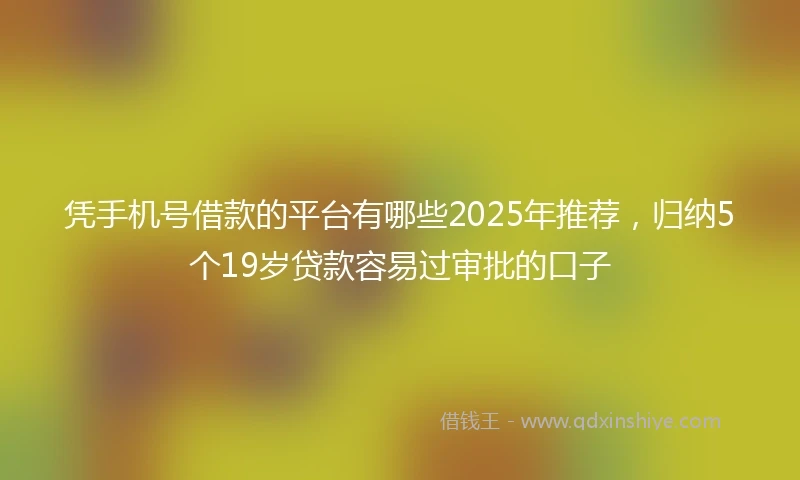 凭手机号借款的平台有哪些2025年推荐，归纳5个19岁贷款容易过审批的口子