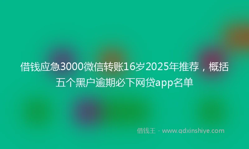 借钱应急3000微信转账16岁2025年推荐，概括五个黑户逾期必下网贷app名单