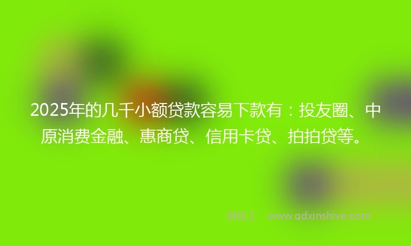 2025年的几千小额贷款容易下款有：投友圈、中原消费金融、惠商贷、信用卡贷、拍拍贷等。