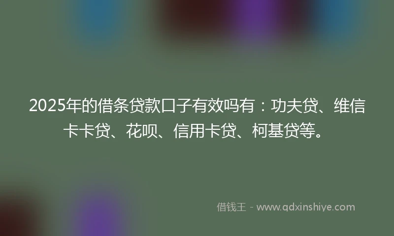 2025年的借条贷款口子有效吗有：功夫贷、维信卡卡贷、花呗、信用卡贷、柯基贷等。