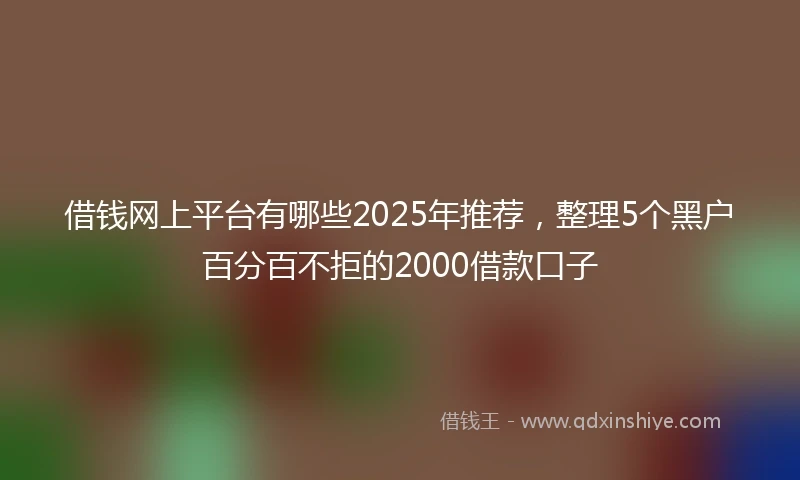 借钱网上平台有哪些2025年推荐，整理5个黑户百分百不拒的2000借款口子