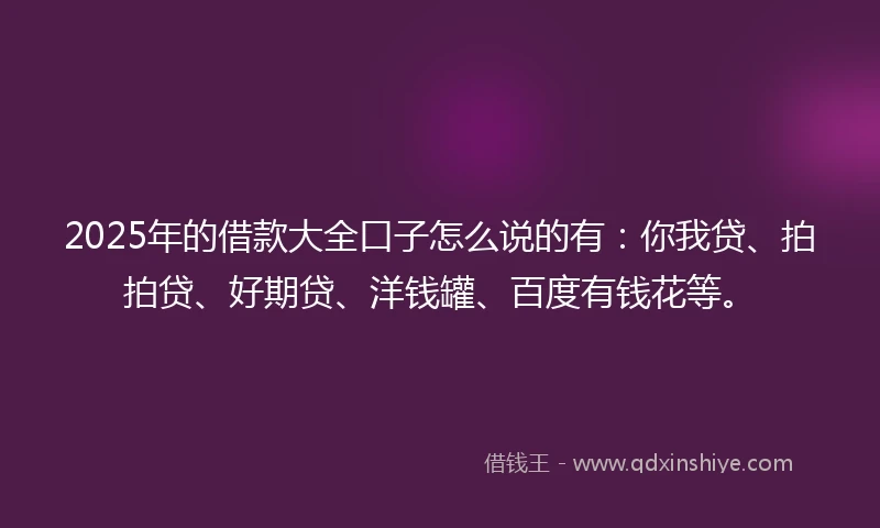 2025年的借款大全口子怎么说的有：你我贷、拍拍贷、好期贷、洋钱罐、百度有钱花等。