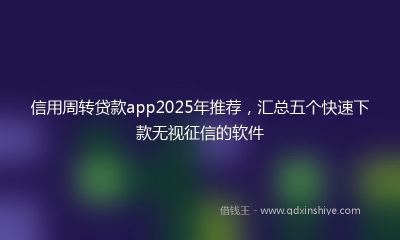 信用周转贷款app2025年推荐，汇总五个快速下款无视征信的软件