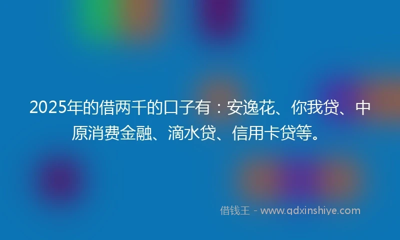 2025年的借两千的口子有：安逸花、你我贷、中原消费金融、滴水贷、信用卡贷等。