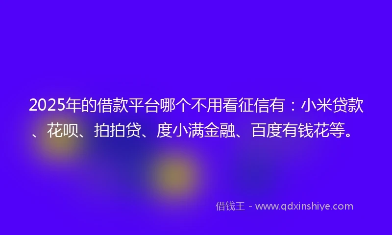 2025年的借款平台哪个不用看征信有：小米贷款、花呗、拍拍贷、度小满金融、百度有钱花等。