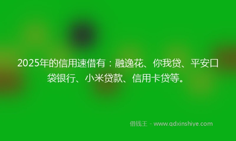 2025年的信用速借有：融逸花、你我贷、平安口袋银行、小米贷款、信用卡贷等。
