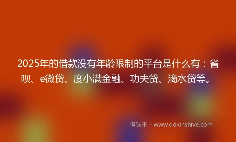 2025年的借款没有年龄限制的平台是什么有：省呗、e微贷、度小满金融、功夫贷、滴水贷等。