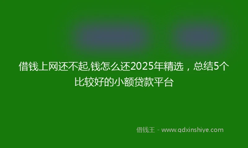 借钱上网还不起,钱怎么还2025年精选，总结5个比较好的小额贷款平台