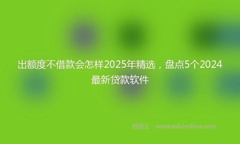 出额度不借款会怎样2025年精选，盘点5个2024最新贷款软件