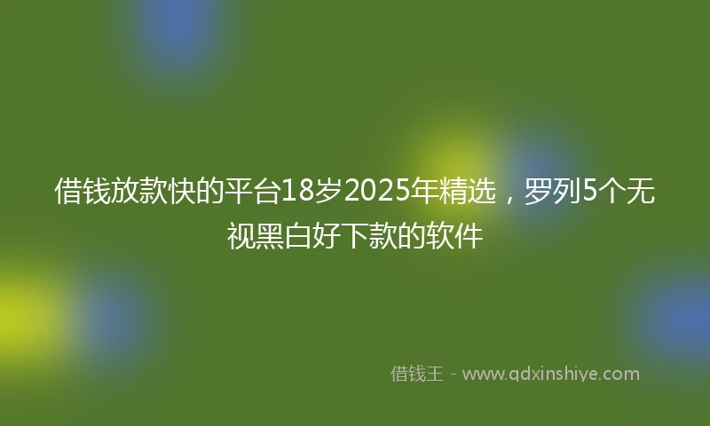 借钱放款快的平台18岁2025年精选，罗列5个无视黑白好下款的软件