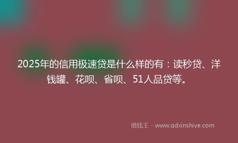 2025年的信用极速贷是什么样的有：读秒贷、洋钱罐、花呗、省呗、51人品贷等。