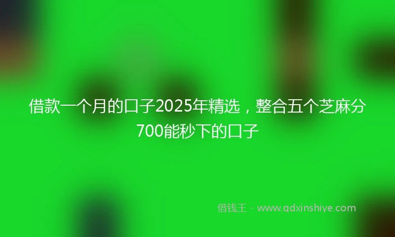 借款一个月的口子2025年精选，整合五个芝麻分700能秒下的口子