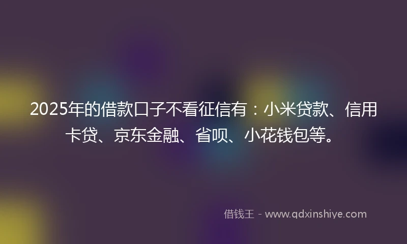 2025年的借款口子不看征信有：小米贷款、信用卡贷、京东金融、省呗、小花钱包等。