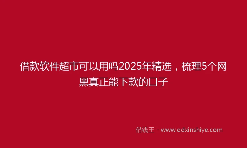 借款软件超市可以用吗2025年精选，梳理5个网黑真正能下款的口子