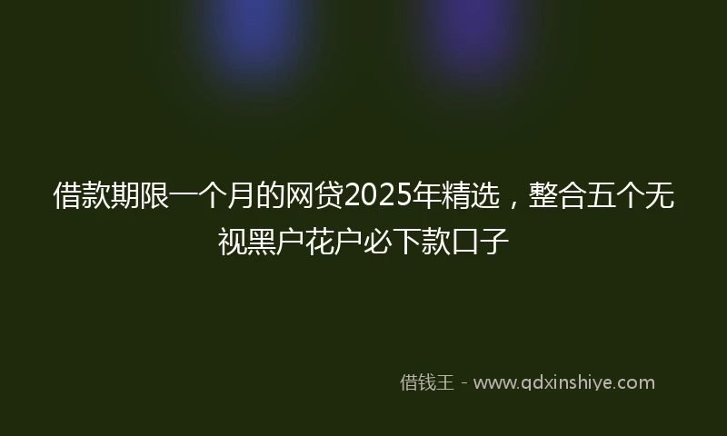 借款期限一个月的网贷2025年精选，整合五个无视黑户花户必下款口子